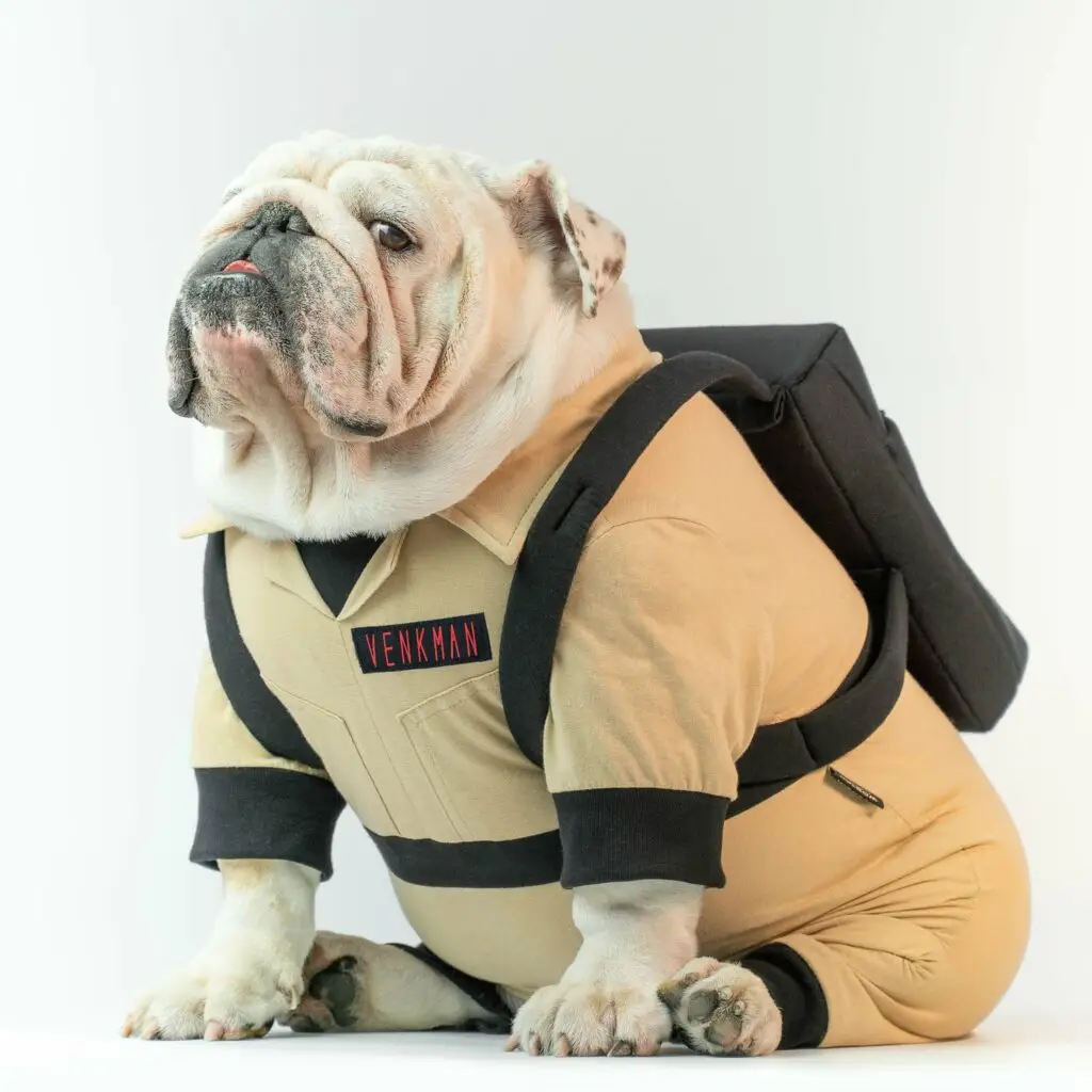 A bulldog dressed as a ghostbuster, ready to tackle supernatural entities with determination and style.