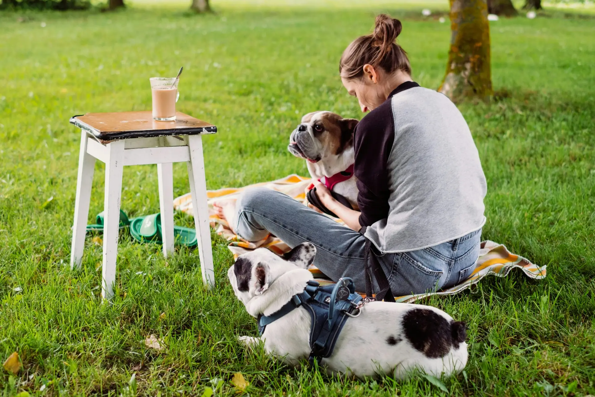 A woman sitting on grass with two bulldogs.